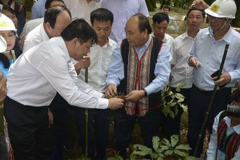 thu-tuong-chinh-phu-tham-vuon-sam-ngoc-linh-tai-xa-mang-ri-huyen-tu-mo-rong